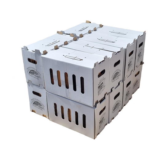 BACK ORDER - 25 x Box of Kiln Dried Beech Logs