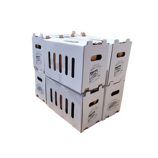 BACK ORDER - 15 x Box of Kiln Dried Beech Logs